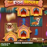 Tips Mudah Menang Bermain Di Slot The Dogs House